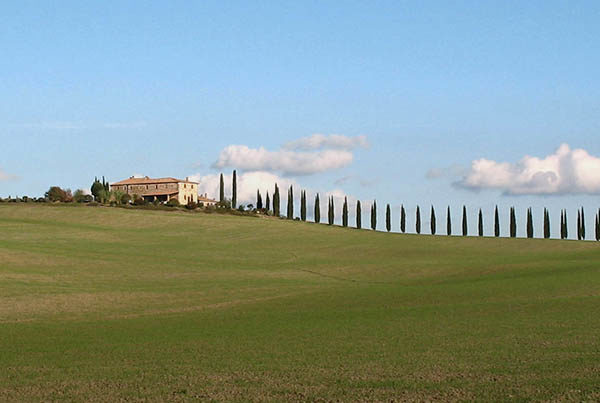 Tour amongst the hilltowns in Tuscany.