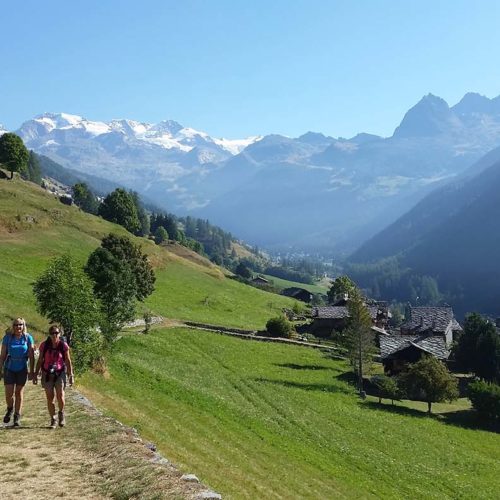 Guided hiking tour in the Aosta Valley. Val d'Ayas, Monte Rosa panorama