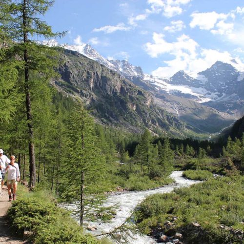 Guided hiking tour in the Aosta Valley. Gran Paradiso National Park and Valnontay