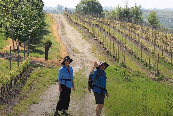 Piedmont (Piemonte) wine country. Hiking in Barolo, Barbaresco.